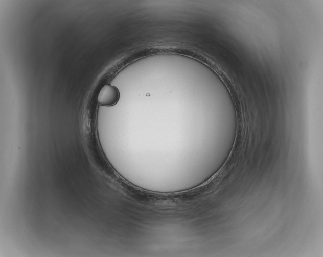 X0000112540731200908171205