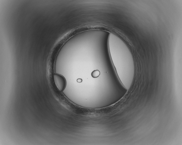 X0000112540732200908171205