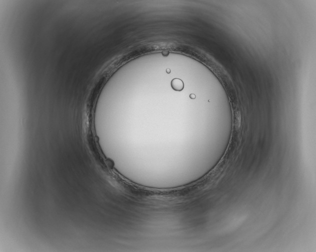 X0000112540733200908171205