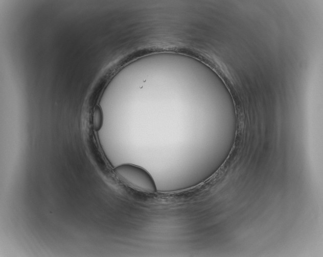 X0000112540736200908171205