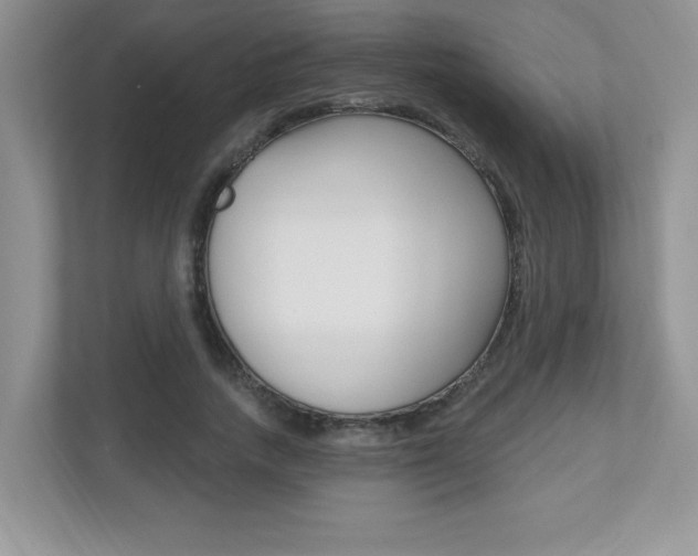 X0000112540738200908171206
