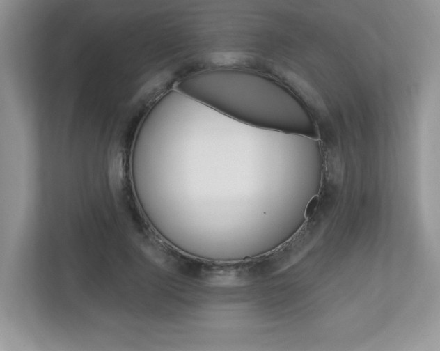 X0000112540740200908171206
