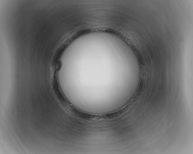 X0000112540742200908171206