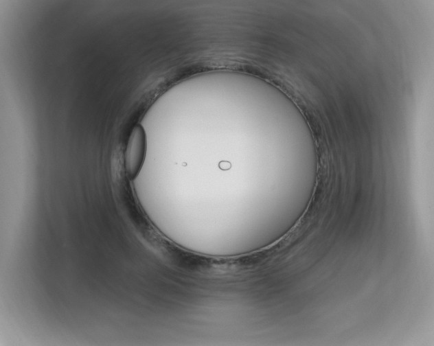 X0000112540744200908171206