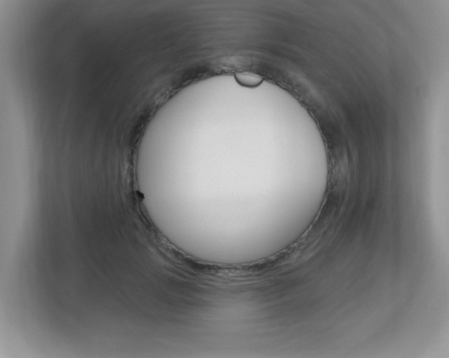 X0000112540749200908171206