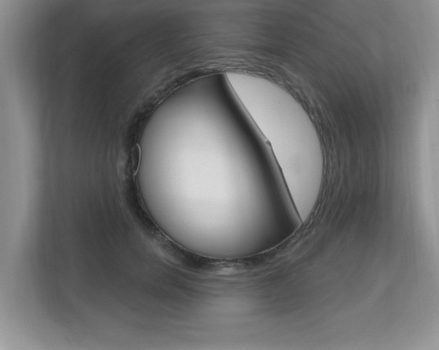 X0000112540750200908171206