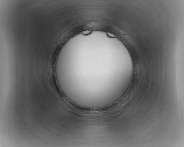 X0000112540751200908171206
