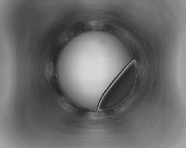 X0000112540752200908171206