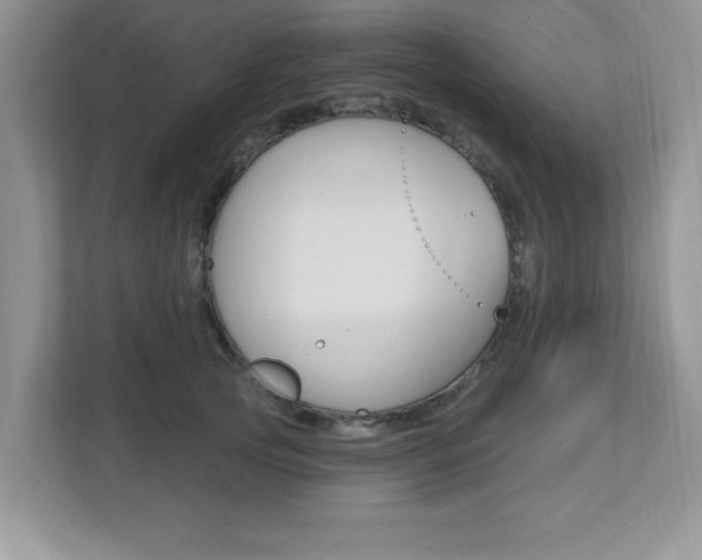 X0000112540753200908171206