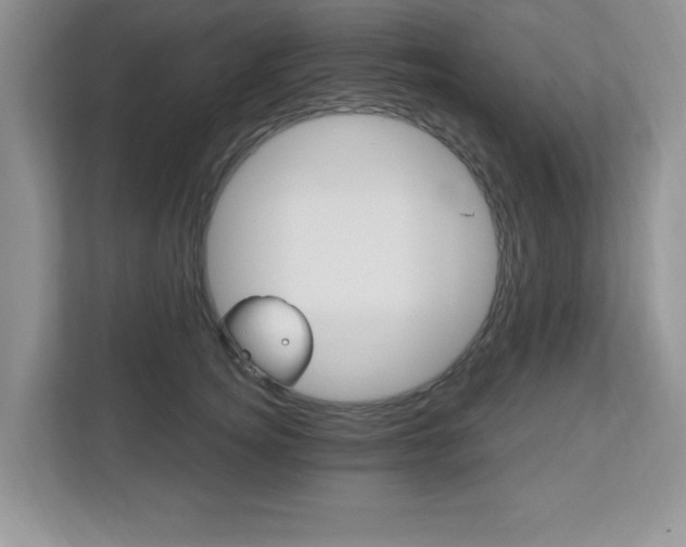 X0000112540756200908171206