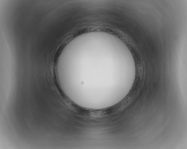 X0000112540757200908171206