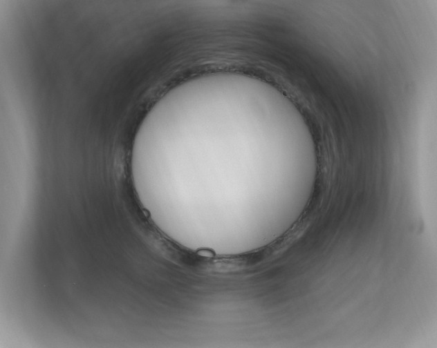 X0000112540758200908171206