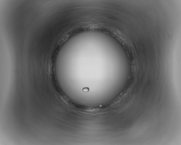 X0000112540760200908171206