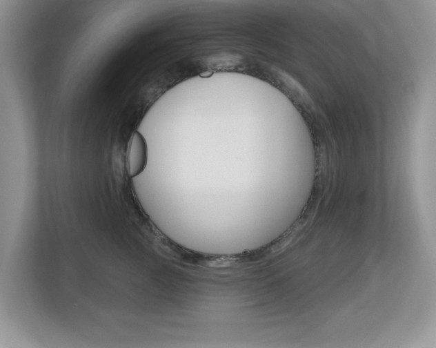 X0000112540761200908171206
