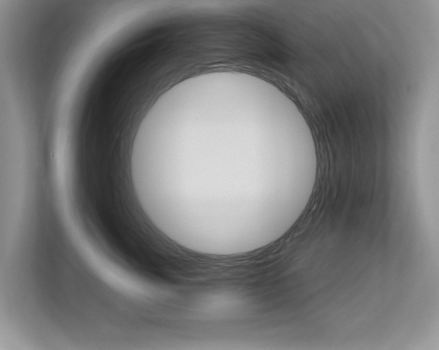 X0000112540764200908171206