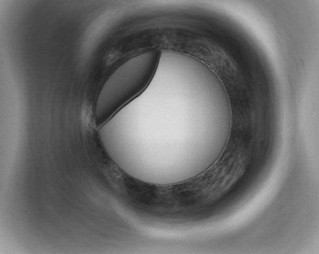 X0000112540766200908171206