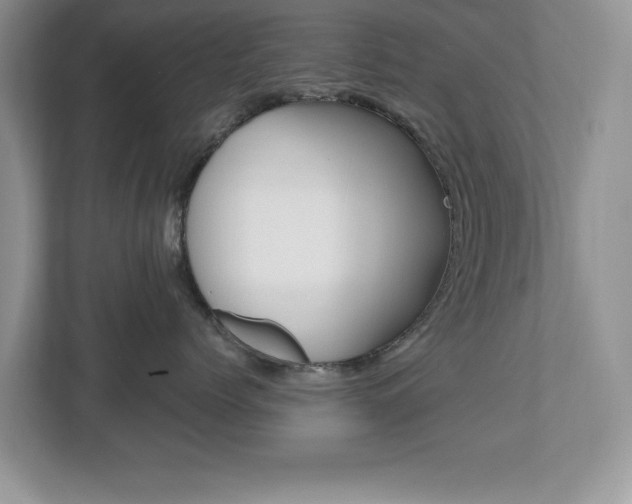 X0000112540768200908171206