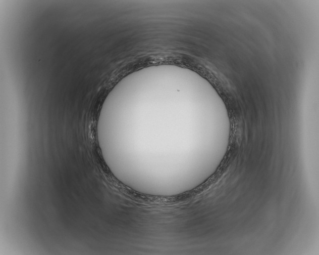 X0000112540770200908171205