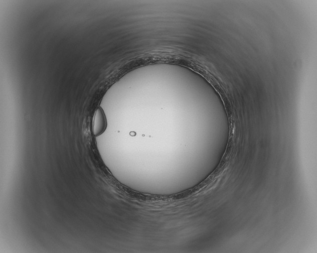 X0000112540771200908171205
