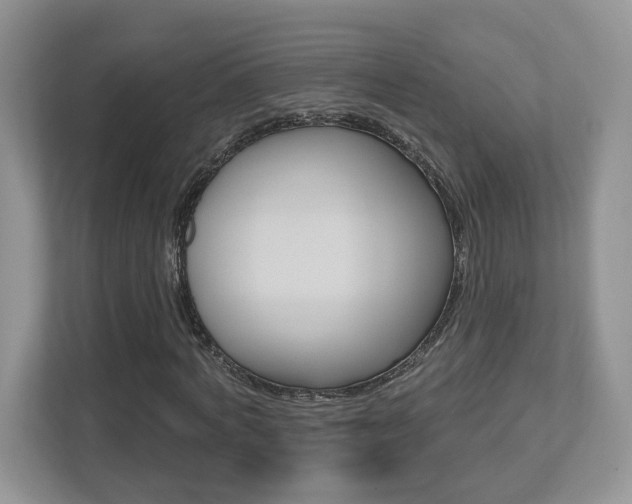 X0000112540772200908171205