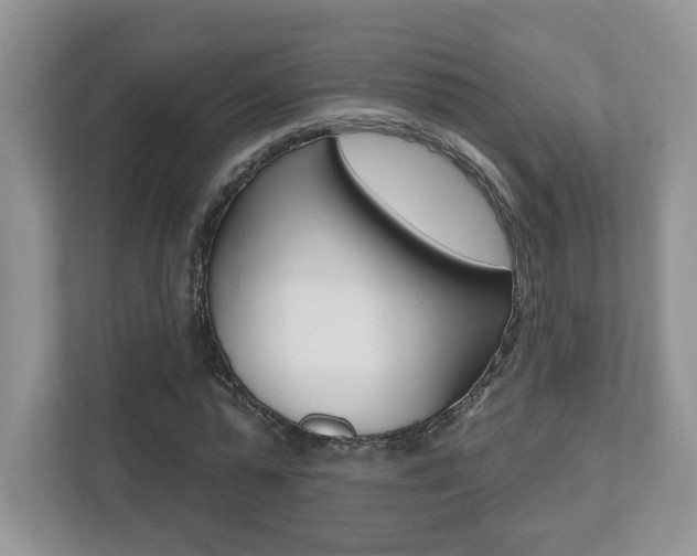 X0000112540775200908171205