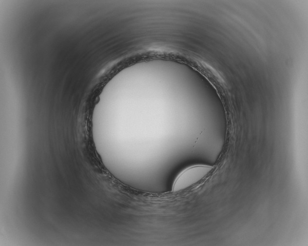 X0000112540776200908171205