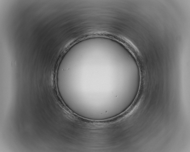 X0000112540777200908171205