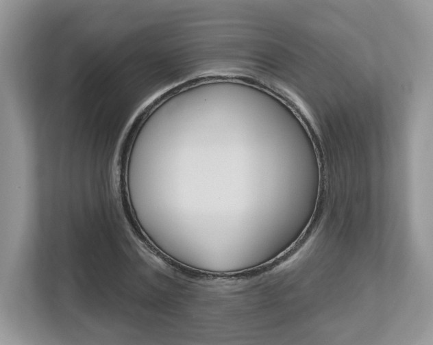 X0000112540779200908171205
