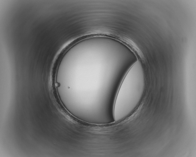 X0000112540780200908171205