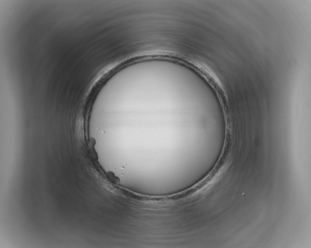 X0000112540781200908171205