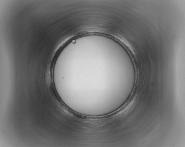 X0000112540782200908171205