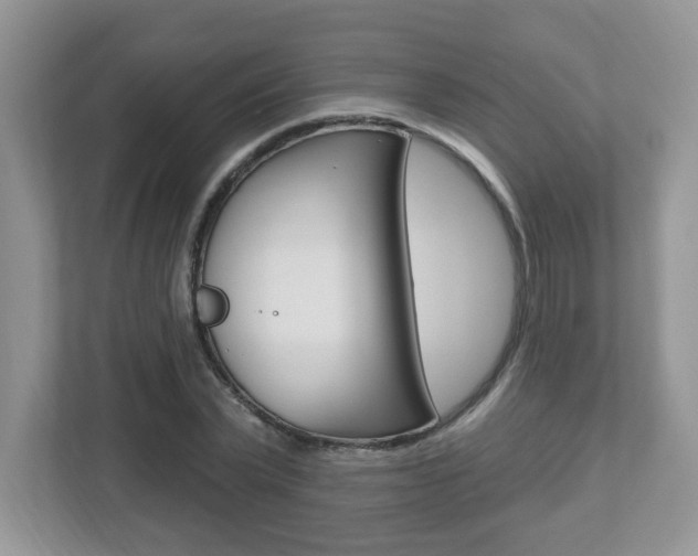 X0000112540783200908171205