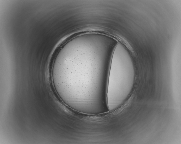 X0000112540784200908171205