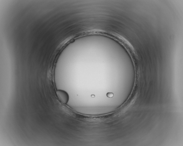 X0000112540785200908171205