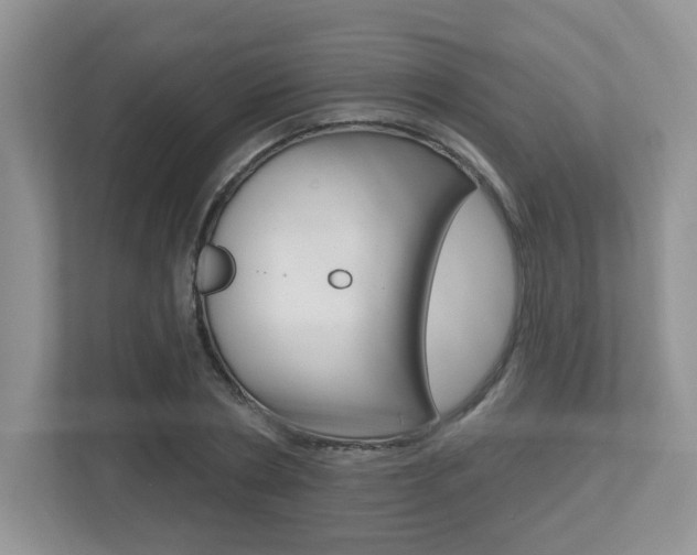 X0000112540786200908171205