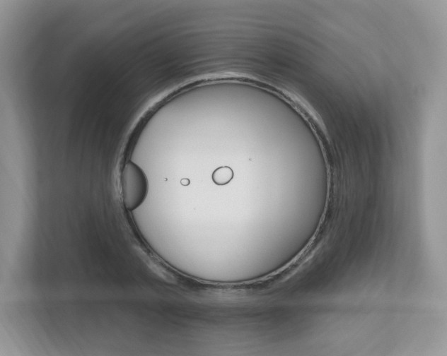 X0000112540789200908171205