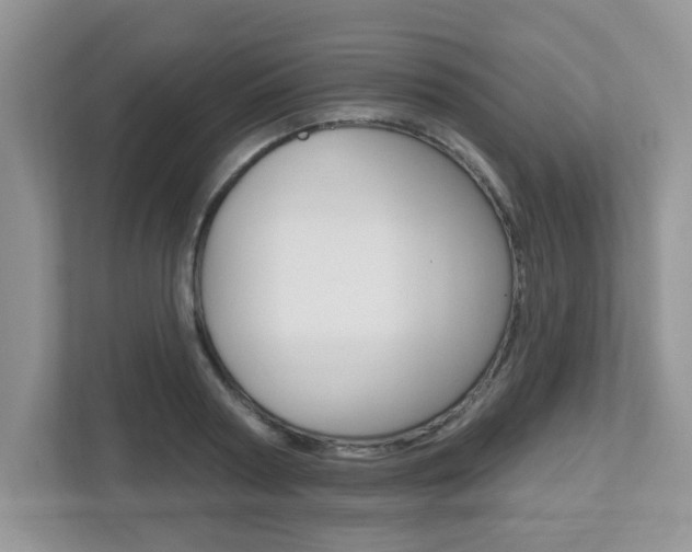 X0000112540794200908171205