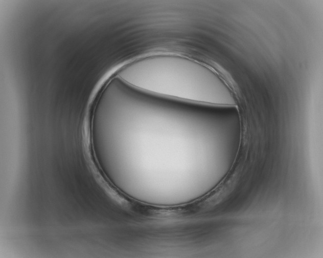 X0000112540796200908171205