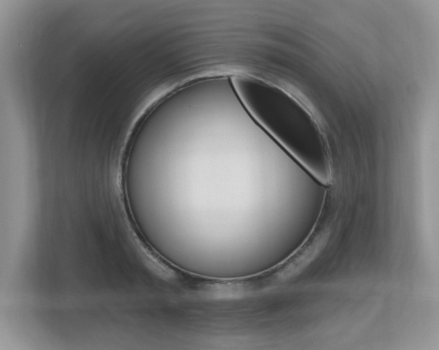 X0000112540797200908171205
