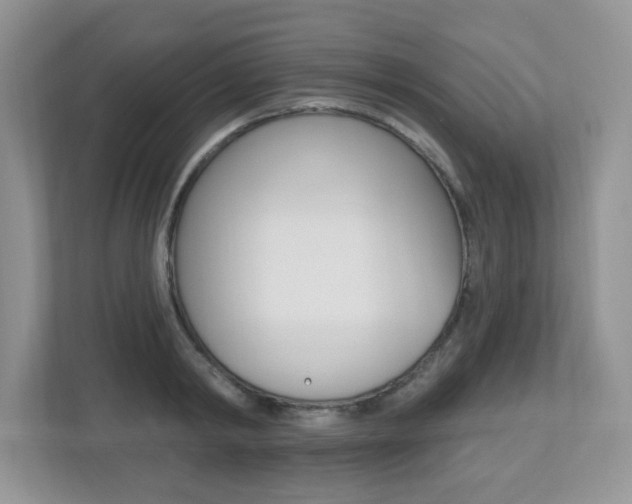 X0000112540798200908171205