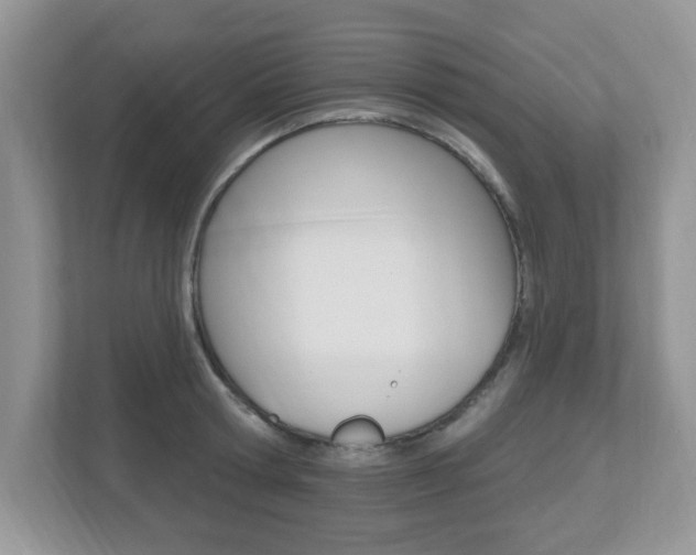 X0000112540802200908171205