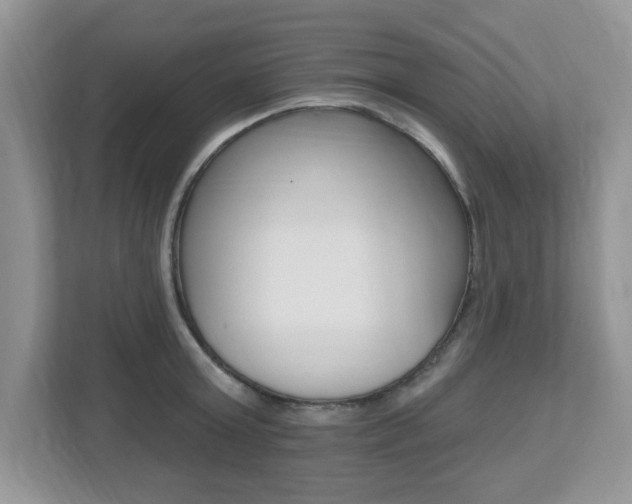X0000112540803200908171205