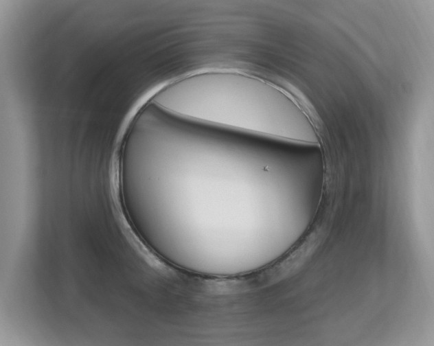 X0000112540804200908171205