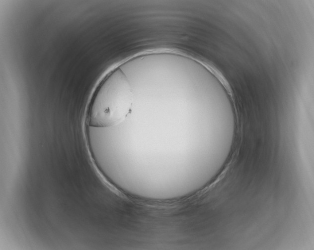 X0000112540805200908171205