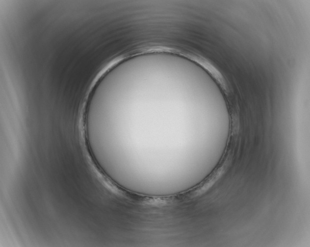 X0000112540806200908171205