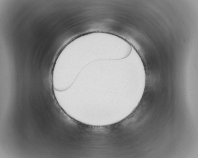X0000112540807200908171205