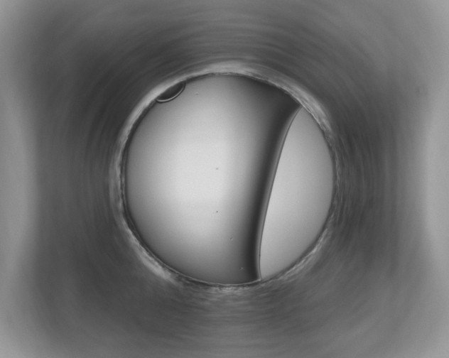X0000112540808200908171205