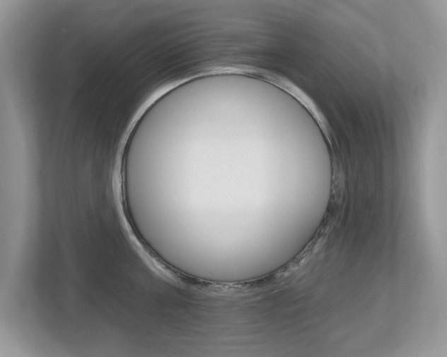 X0000112540811200908171205
