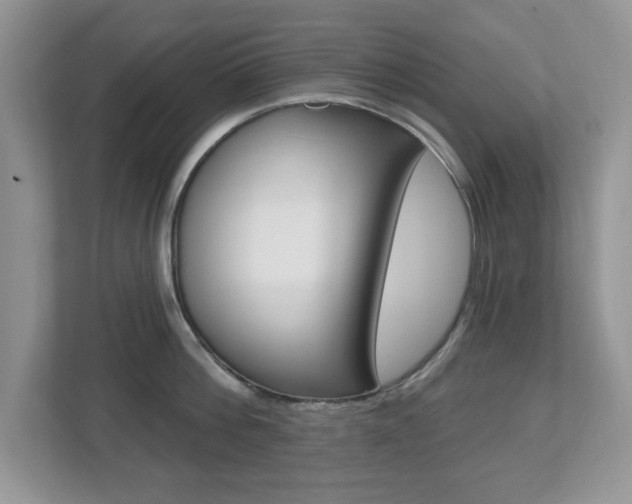 X0000112540812200908171205