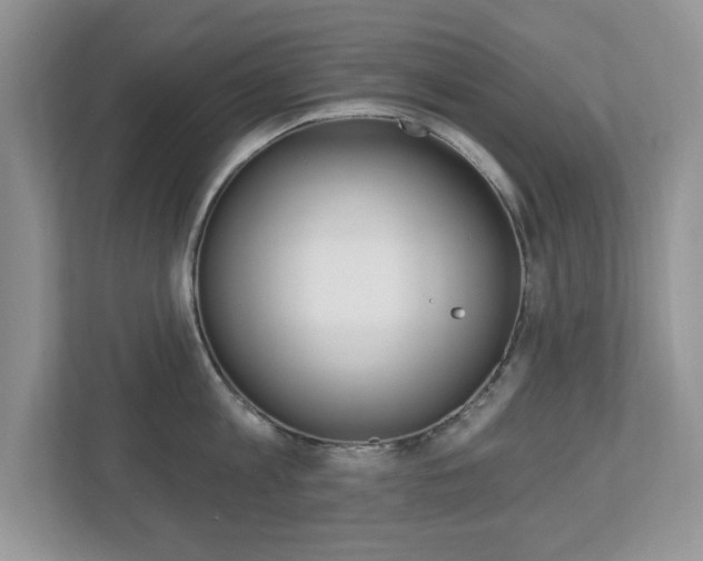 X0000112540813200908171205